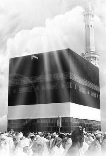 رحلات الحج والعمرة